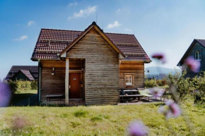 Ferienhaeuser, Torfhaus Harz